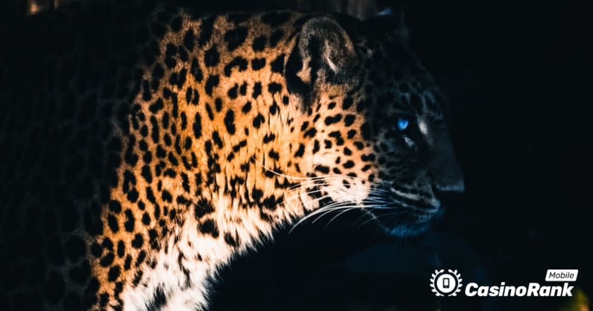 Yggdrasil collabora con ReelPlay per rilasciare la Jaguar SuperWays di Bad Dingo
